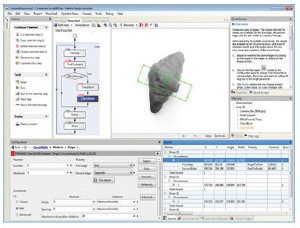 demo mecspe 1